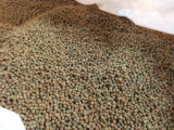 fish pellets nutrition