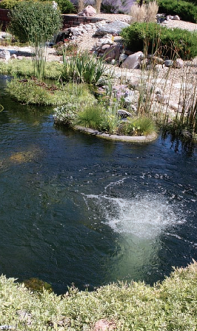 pond circulation