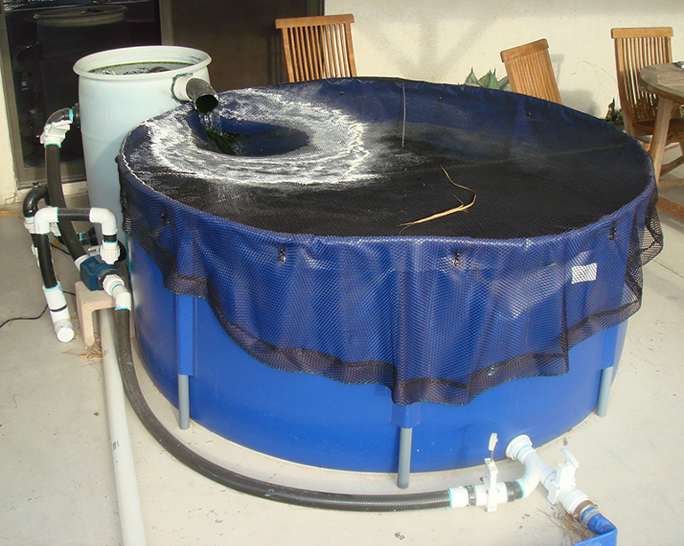 single filter pond tank
