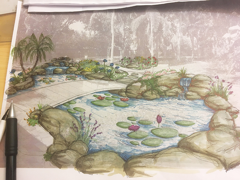 pond rendering from pool