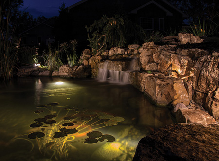 illuminated waterfall aquatic life