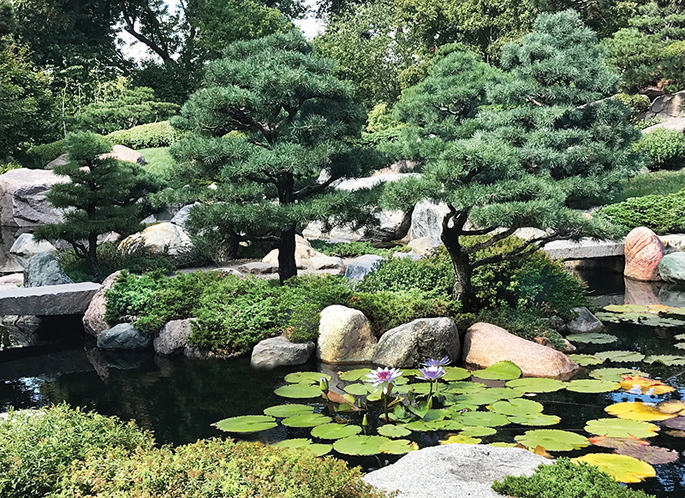 pond shoreline Japanese garden