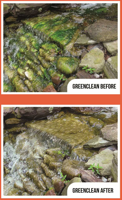 greenclean algae remover