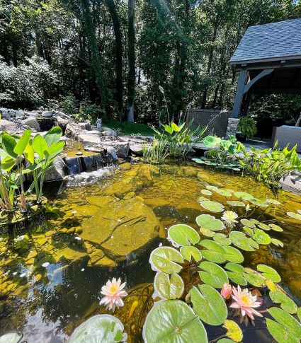  koi pond with outdoor space