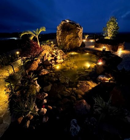 night view of Belize pond build