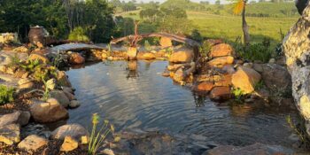 Belize pond build