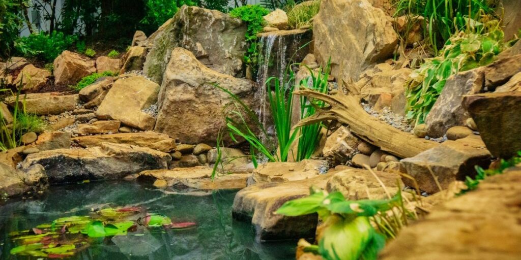 backyard pond rebuild