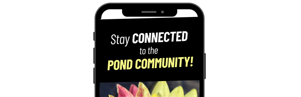 Stay connected to the  POND COMMUNITY