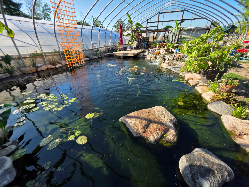 pond house AFTER photo