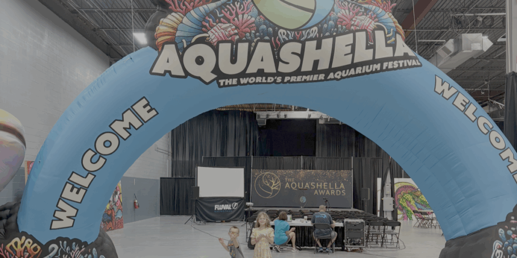 Aquashella 2025 entrance