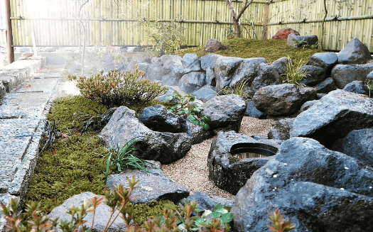 Tsukubai water feature and bonsai