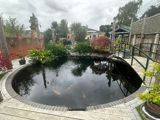 14,000 gallon in ground pond.