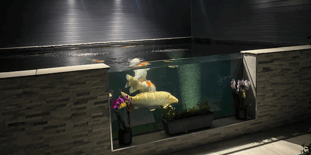 indoor koi pond