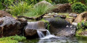 Rec Pond 2025 Runner Up