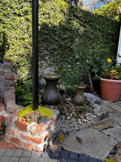 transformation in the garden