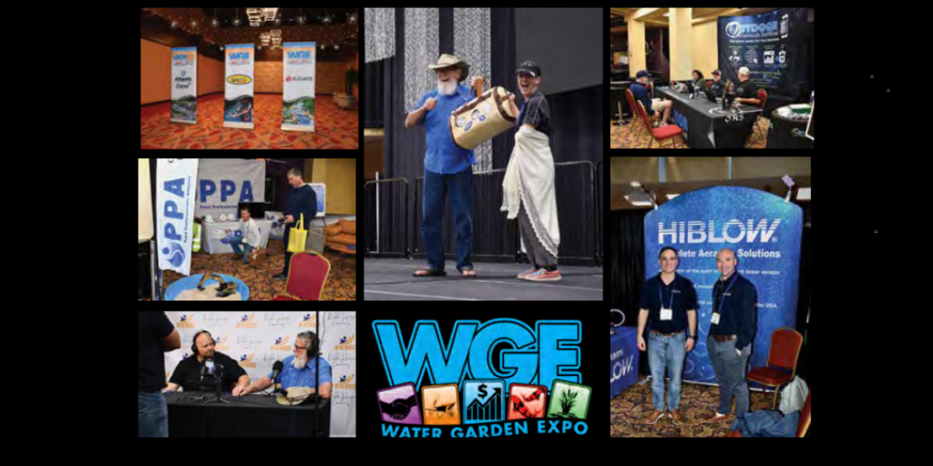 WGE Recap