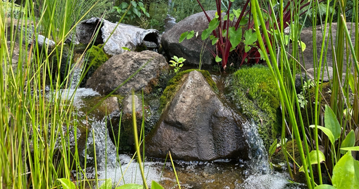 Open Pond tours