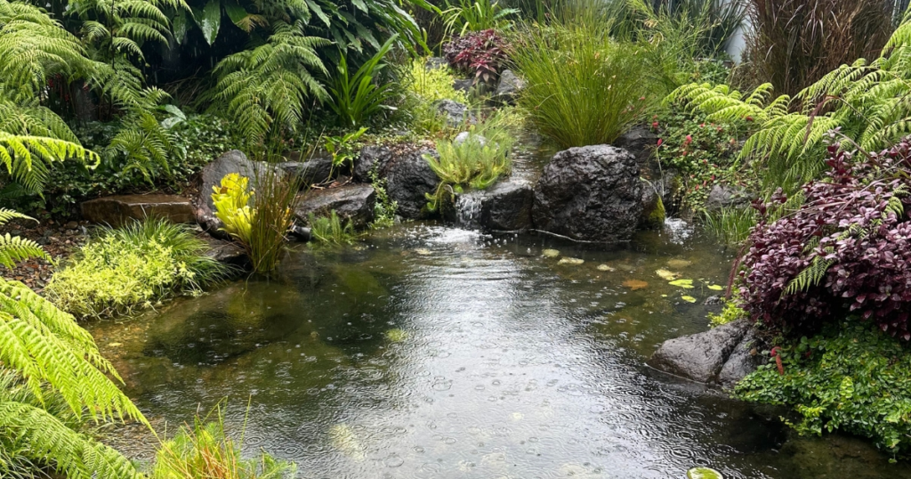 Zara Graham pond