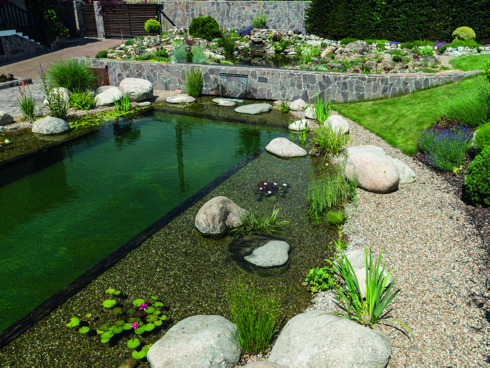 Natural swimmong pond filtration