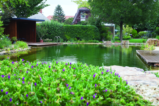 Type 4 Filtrqtion for a swim pond