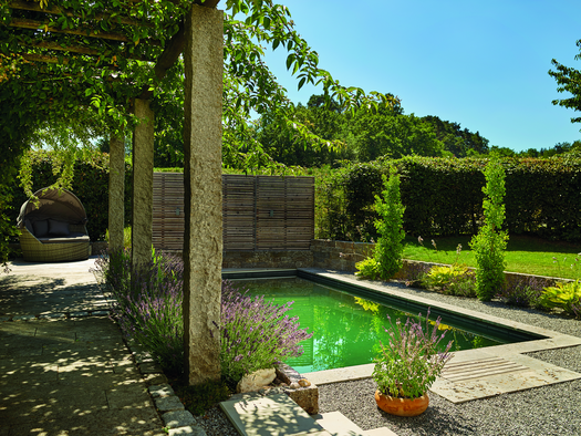 Type 5 Filtration Swimming pond