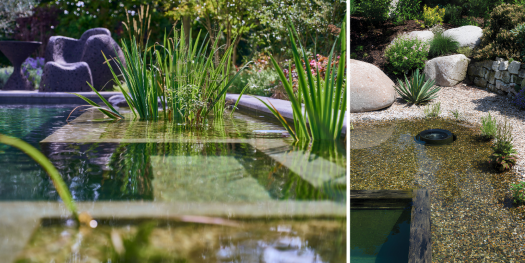 Plantings in regeneration zones and in-gravel skimmers