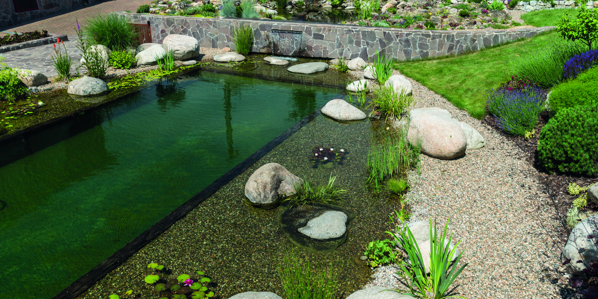 Swim pond filtration