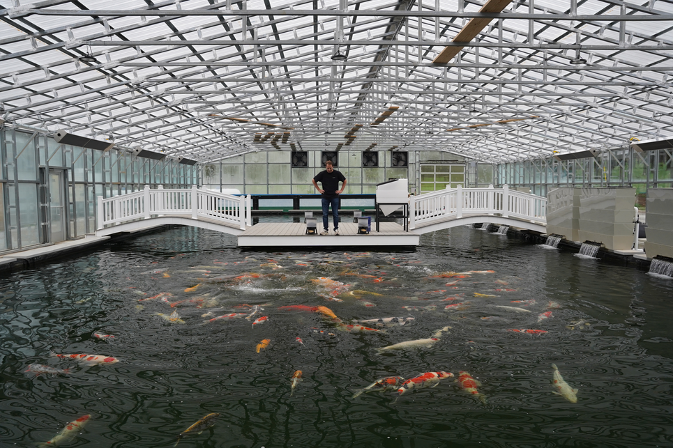 World's Largest Koi Collection