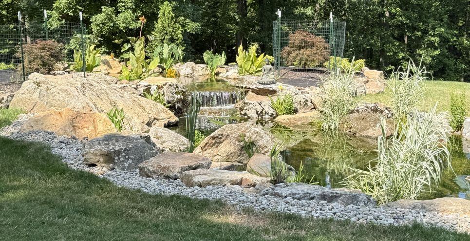 Gary V pond waterfall