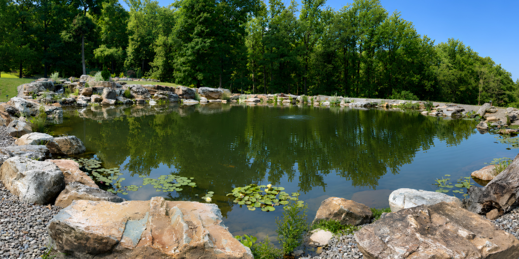 Gary V Pond mature
