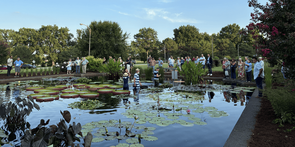 2026 International Water Garden Society Symposium