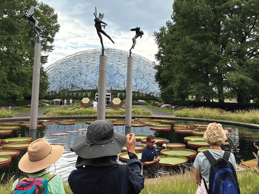 Giant Victoria Water Lilies at Missouri Botanical Garden