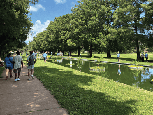 Francis Park's Lily Pond