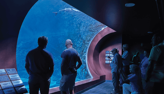 St. Louis Aquarium