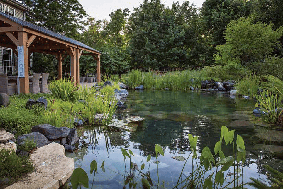 Before Image of Larry Carne's pond before damage.