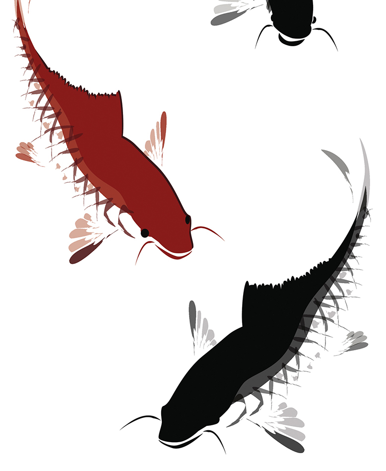 vector black and red carp swimming