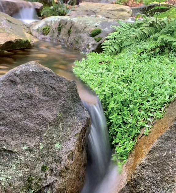 pond boulders waterfalls