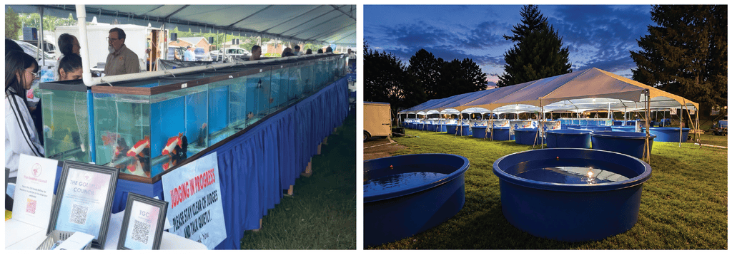 Greater Louisville Koi and Godfish Show