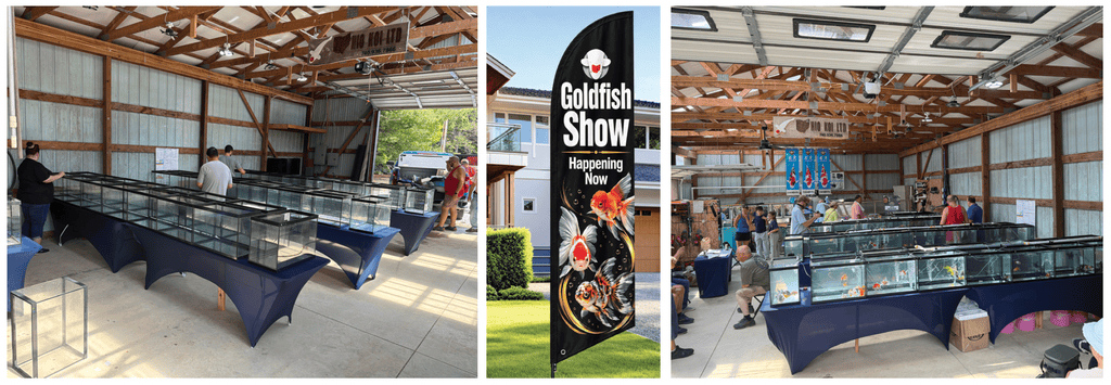Ohio Golfish Palooza IV