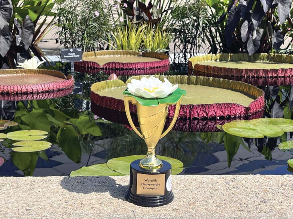 Waterlily Weigh-Off Trophy