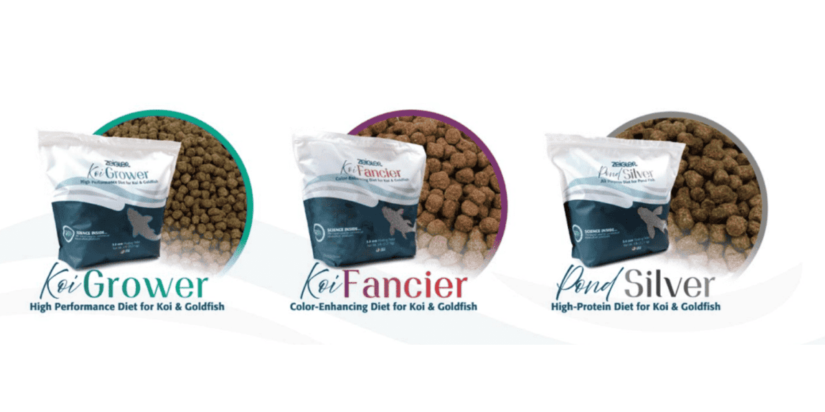 Ziegler Fish Zeigler Bros. Inc. Launches New Koi Line-Up and Packaging - POND Trade ...