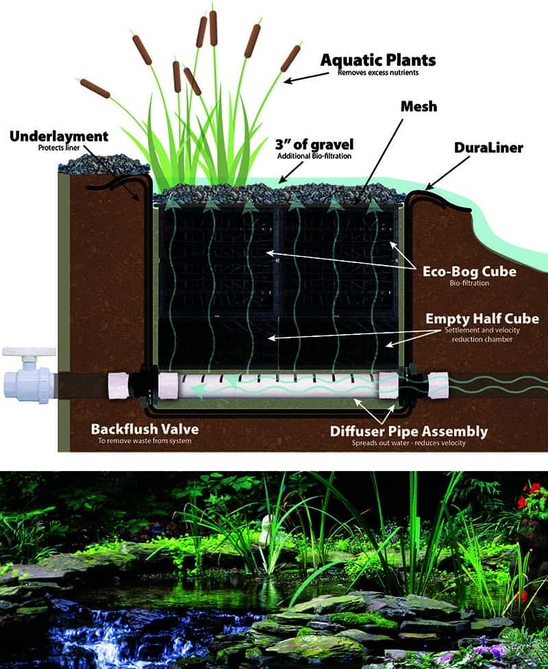 Eco Bog Kits From EasyPro POND Trade Magazine